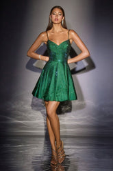Mary-Alyse Mini Dress - Sparkly Fit & Flare Dress