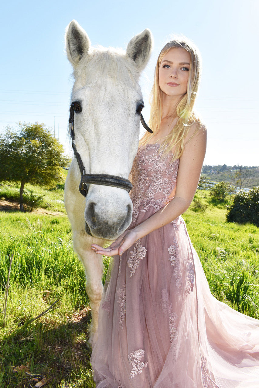 Alisha Gown - Mauve - Tulle A-line Dress With Open Back