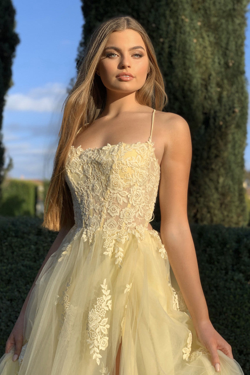 Alisha Gown - Yellow - Tulle A-line Dress With Open Back