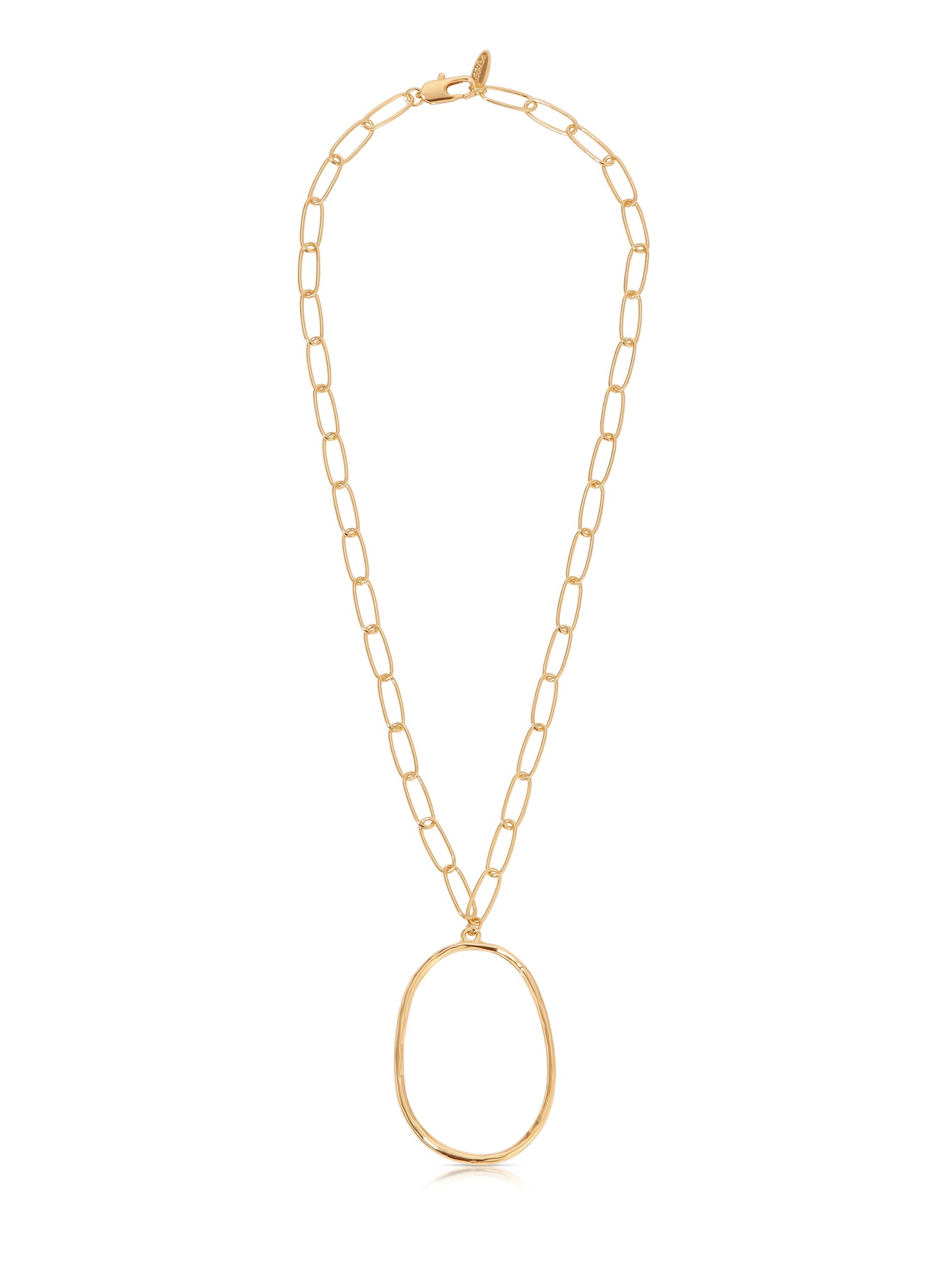 Large Oval Pendant Chain Link Necklace