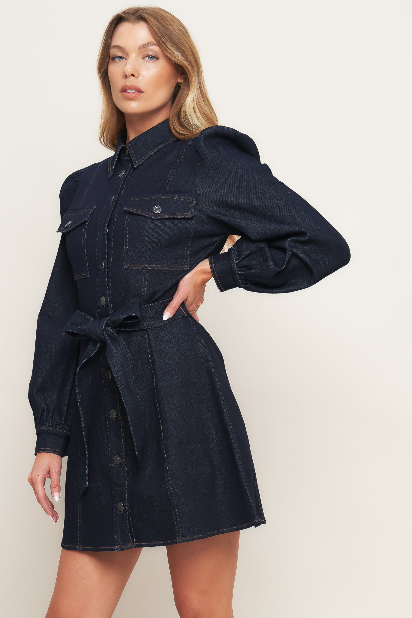 AUTUMN DAYS DARK INDIGO DENIM MINI DRESS