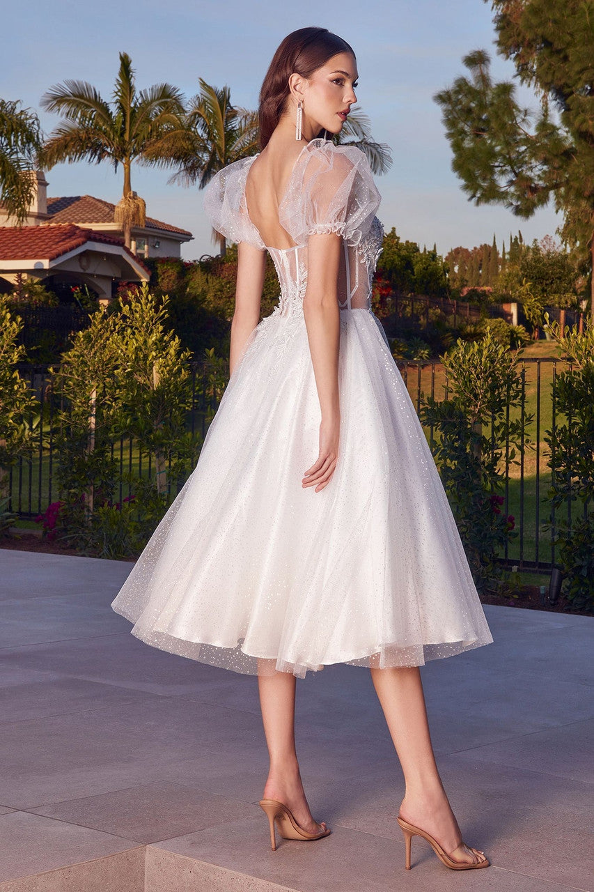 Jane Midi Dress - Off-White Glitter Tulle Dress