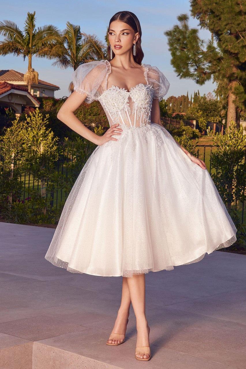 Jane Midi Dress - Off-White Glitter Tulle Dress
