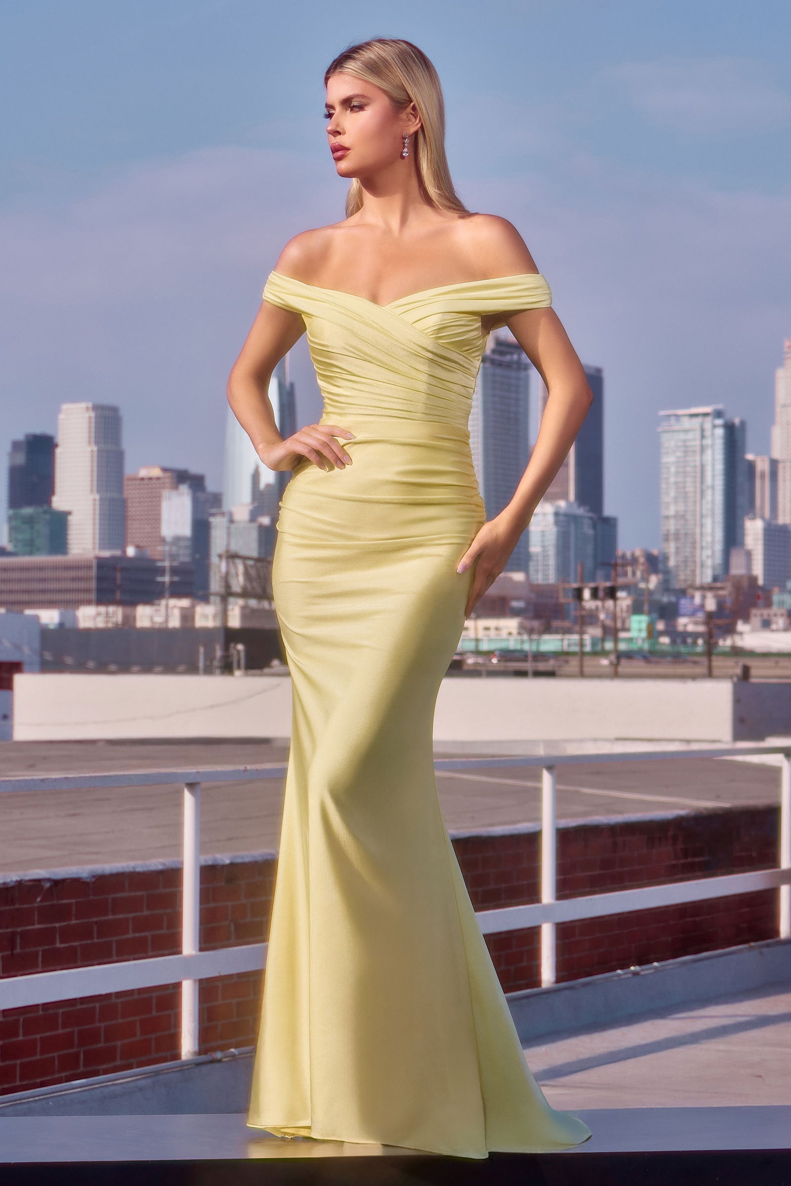 Tinsley Gown - Stretch Off-the-Shoulder Dress