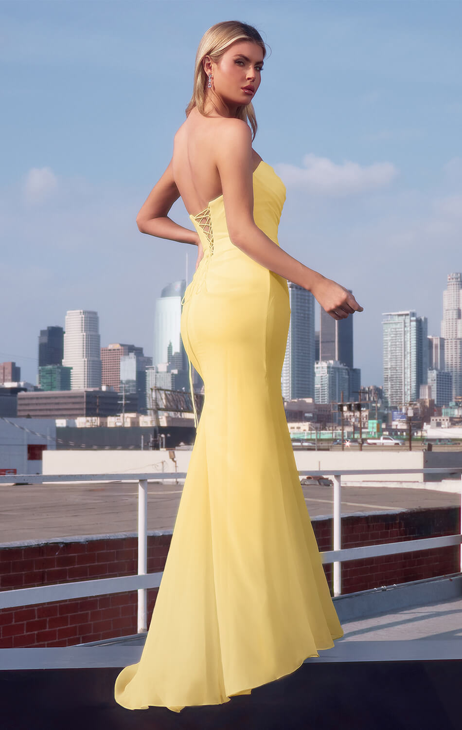 Haven Gown - Long Strapless Chiffon Dress