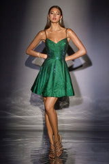 Mary-Alyse Mini Dress - Sparkly Fit & Flare Dress