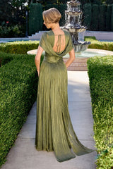 Astrid Gown - Draped Cap Sleeve Shimmer Chiffon Dress