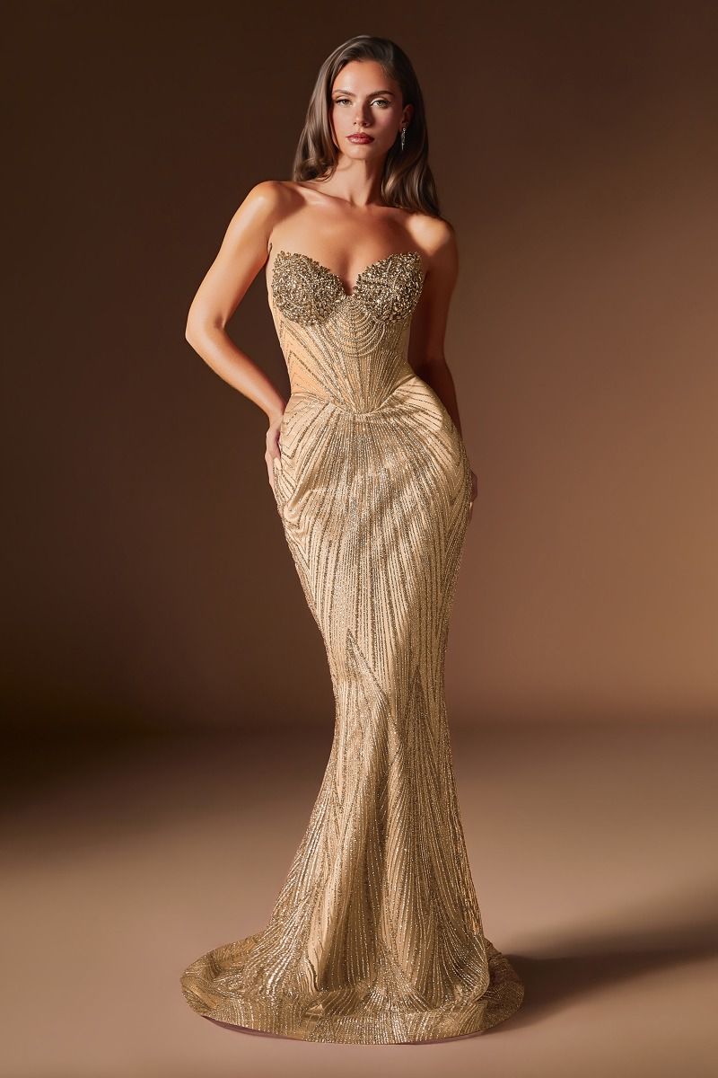 Rialto Gown - Fitted Dress with Sheer Corset Bodice