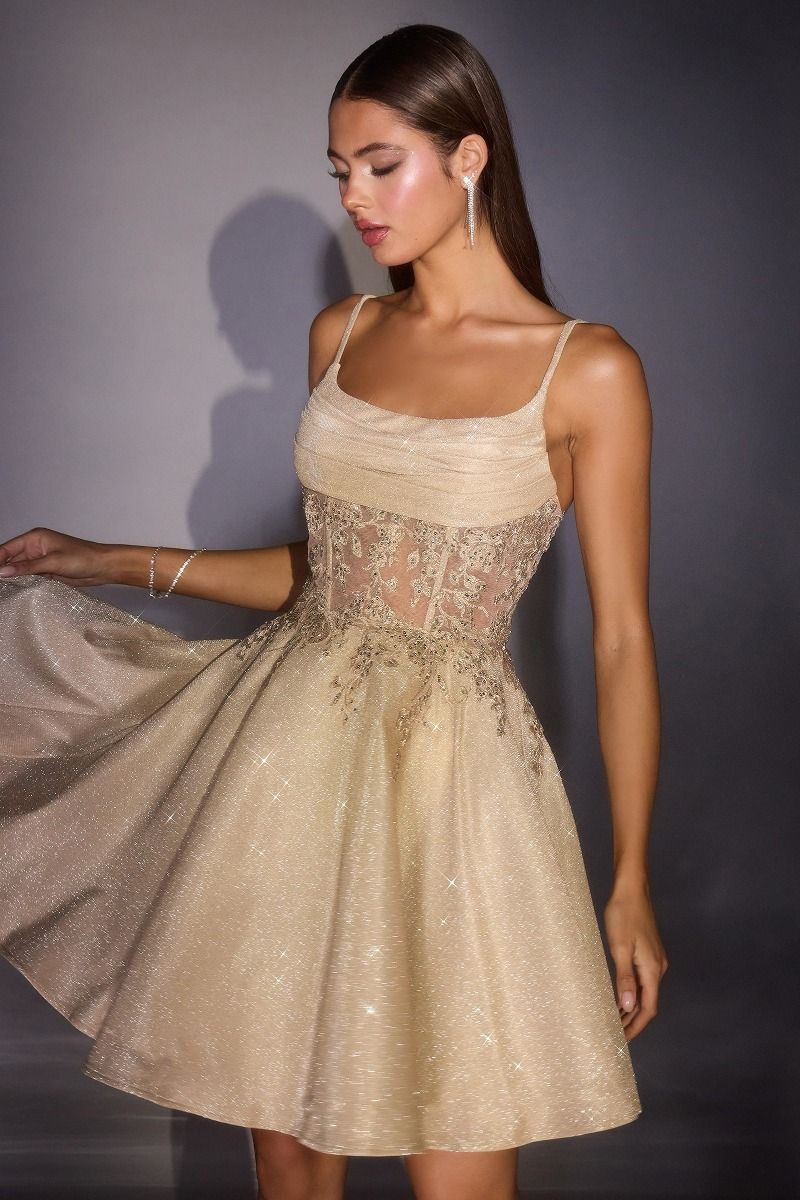 Maggie Mini Dress - Glitter Fit & Flare Cocktail Dress