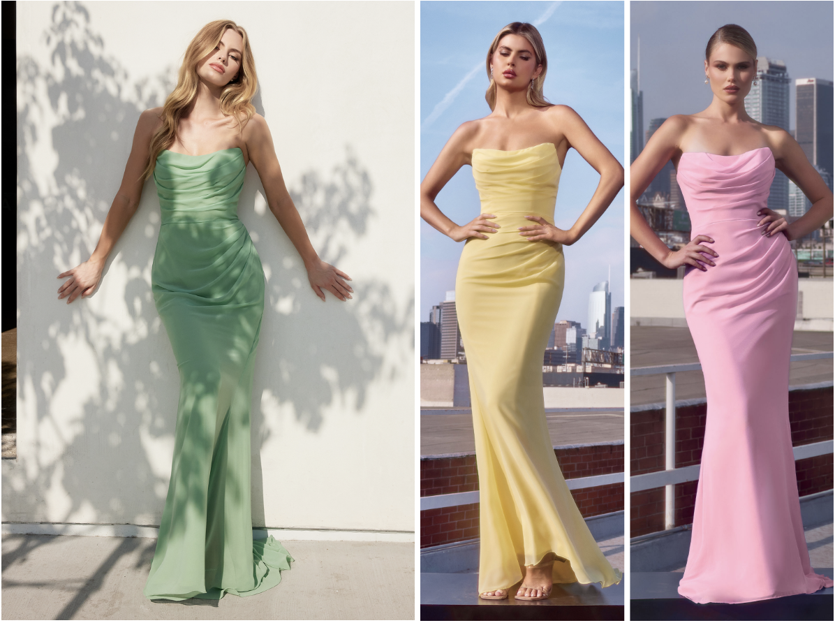 Haven Gown - Long Strapless Chiffon Dress
