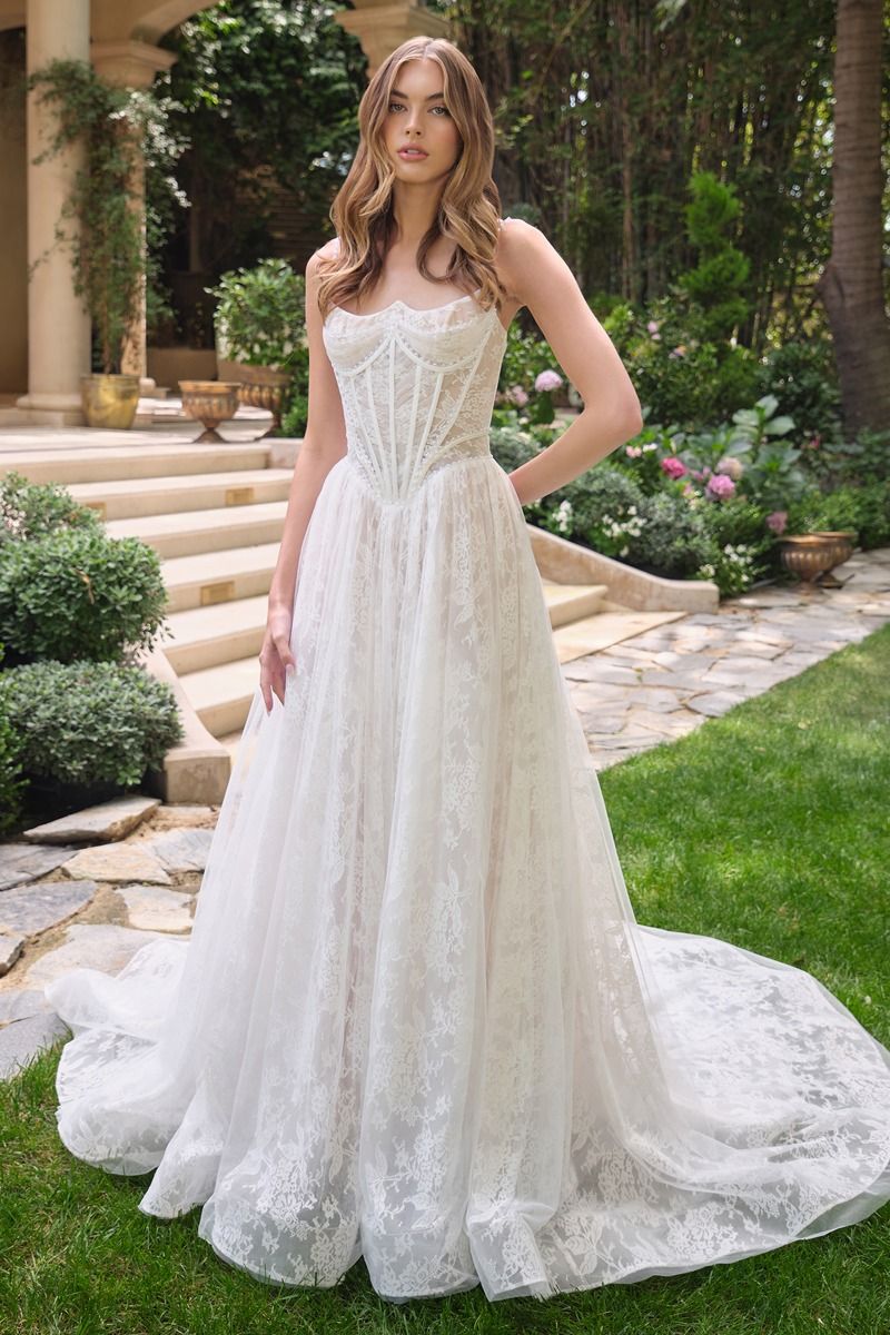 WL069 - Venus Lace Ball Gown - Andrea & Leo
