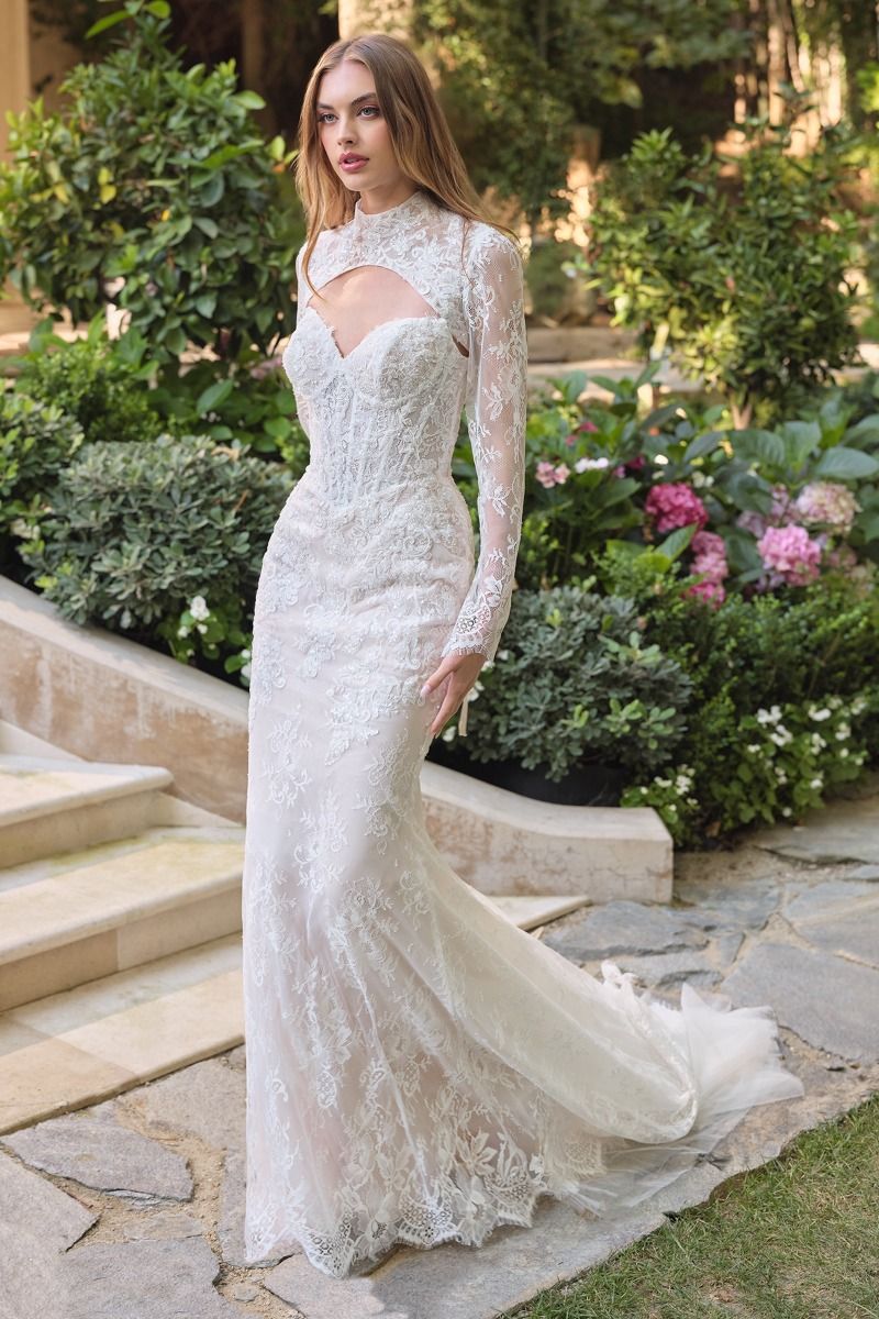 WL071 - Athena Lace Mermaid Gown With Bolero - Andrea & Leo