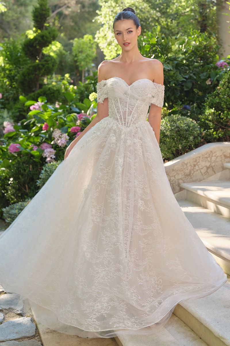 WL090 - Audrey Lace Ball Gown - Andrea & Leo