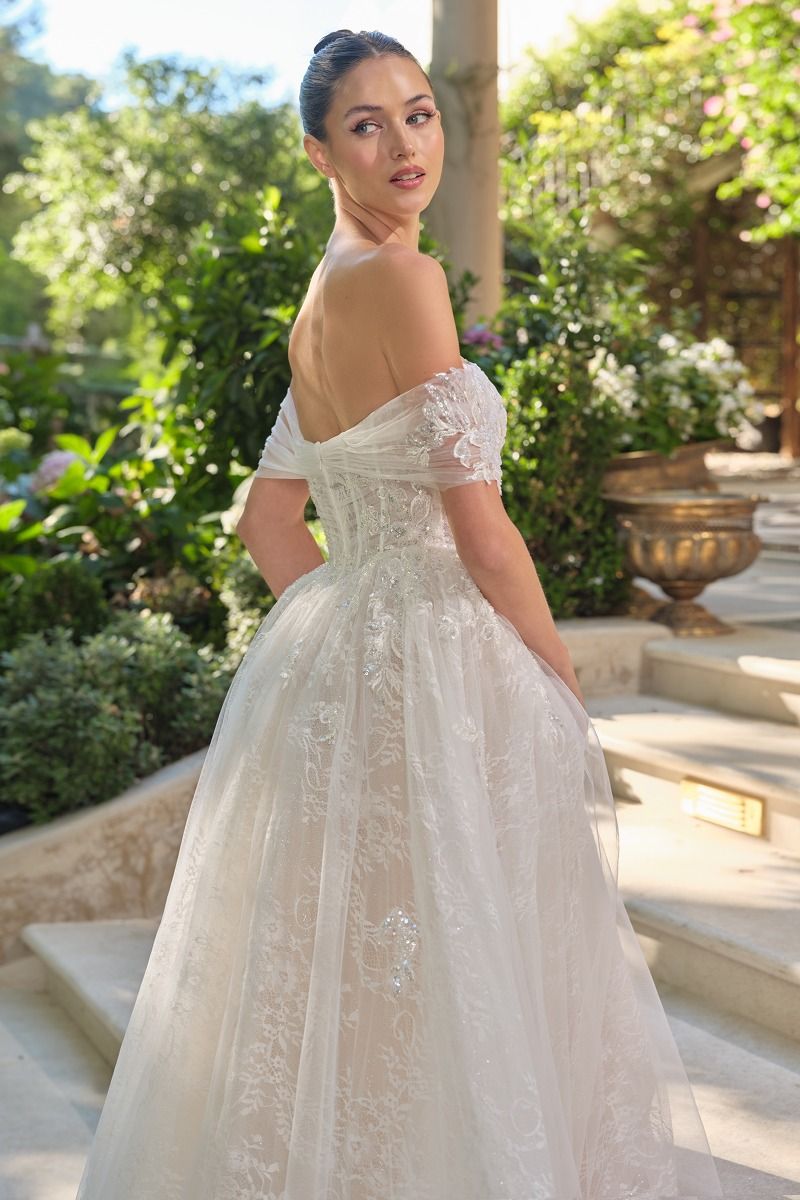 WL090 - Audrey Lace Ball Gown - Andrea & Leo