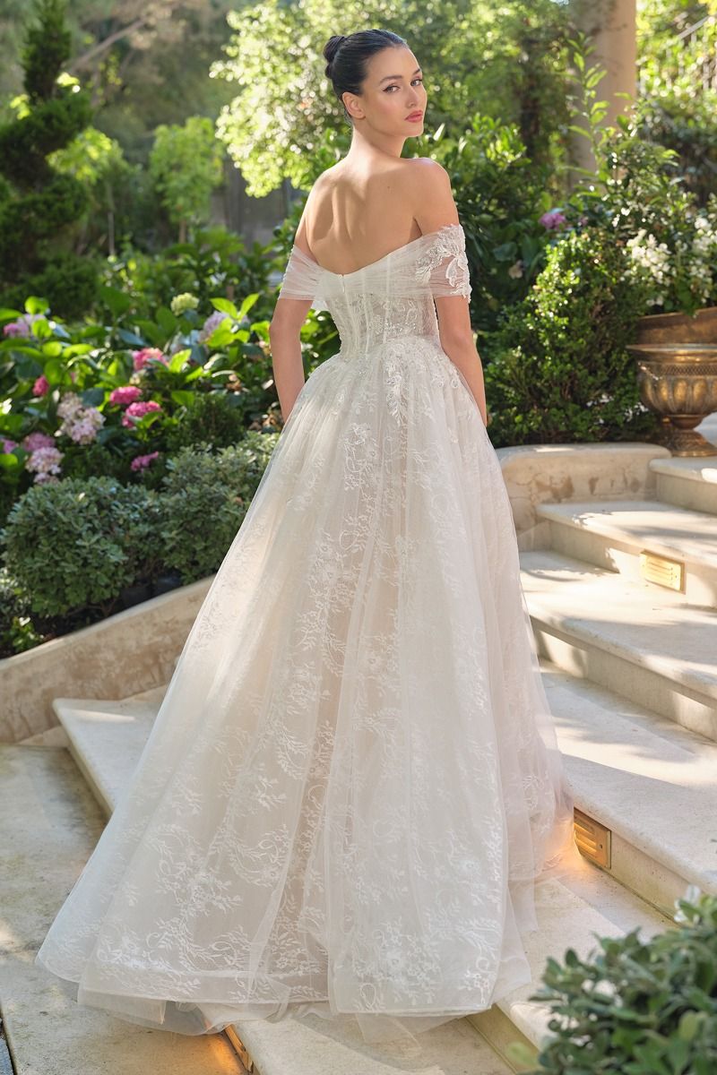 WL090 - Audrey Lace Ball Gown - Andrea & Leo